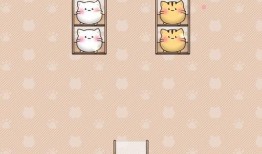 小椰子爆料视频下载网址,独家下载网址大公开